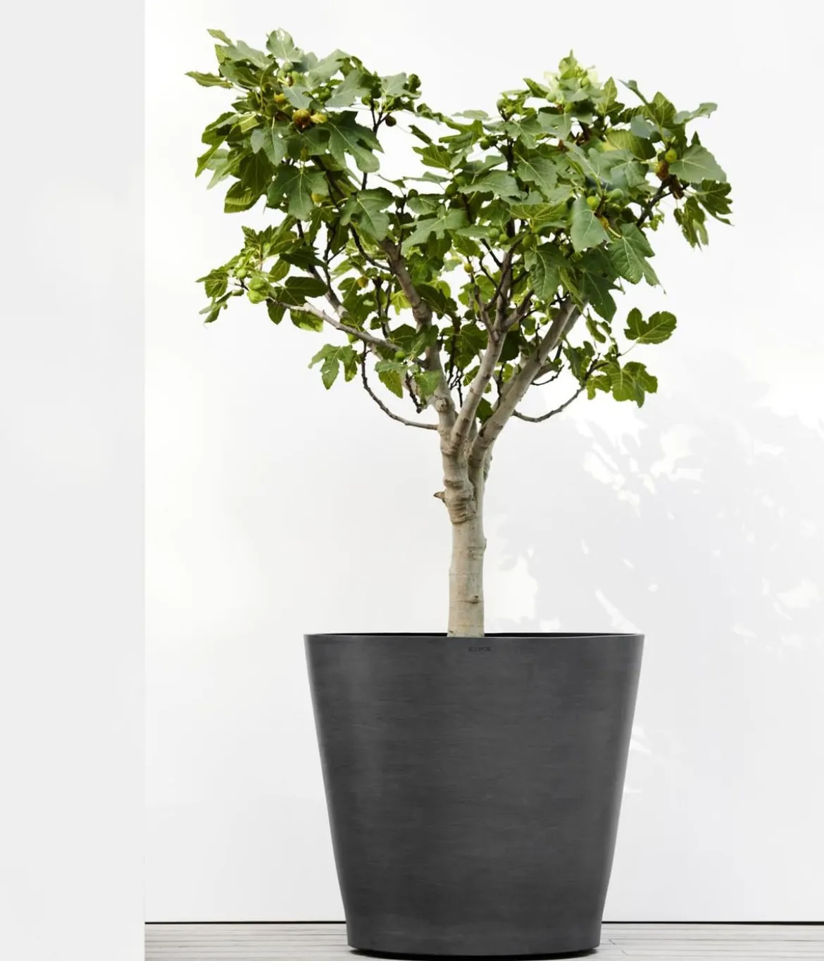 Ecopots Kunststoff-Topf Amsterdam mit Rollen, rund