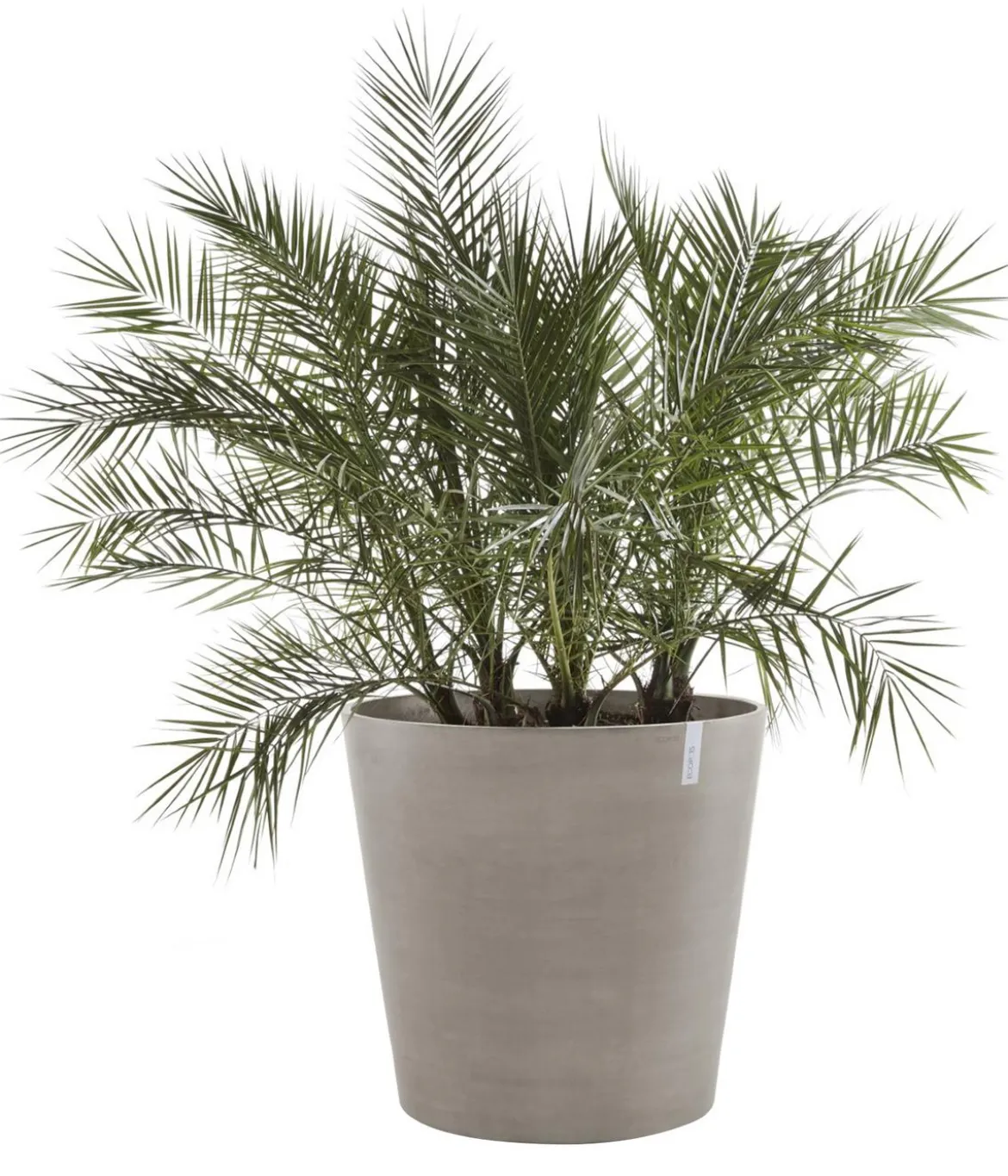 Ecopots Kunststoff-Topf Amsterdam mit Rollen, rund