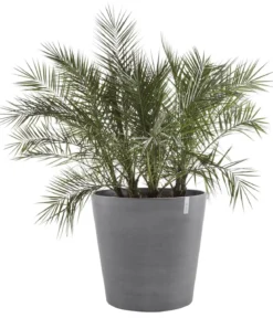 Ecopots Kunststoff-Topf Amsterdam mit Rollen, rund