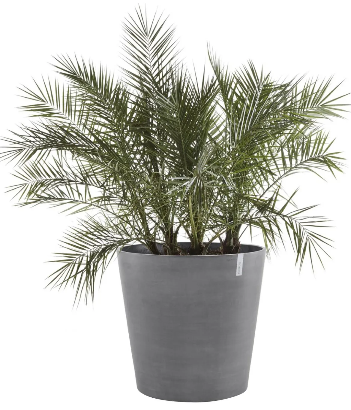 Ecopots Kunststoff-Topf Amsterdam mit Rollen, rund