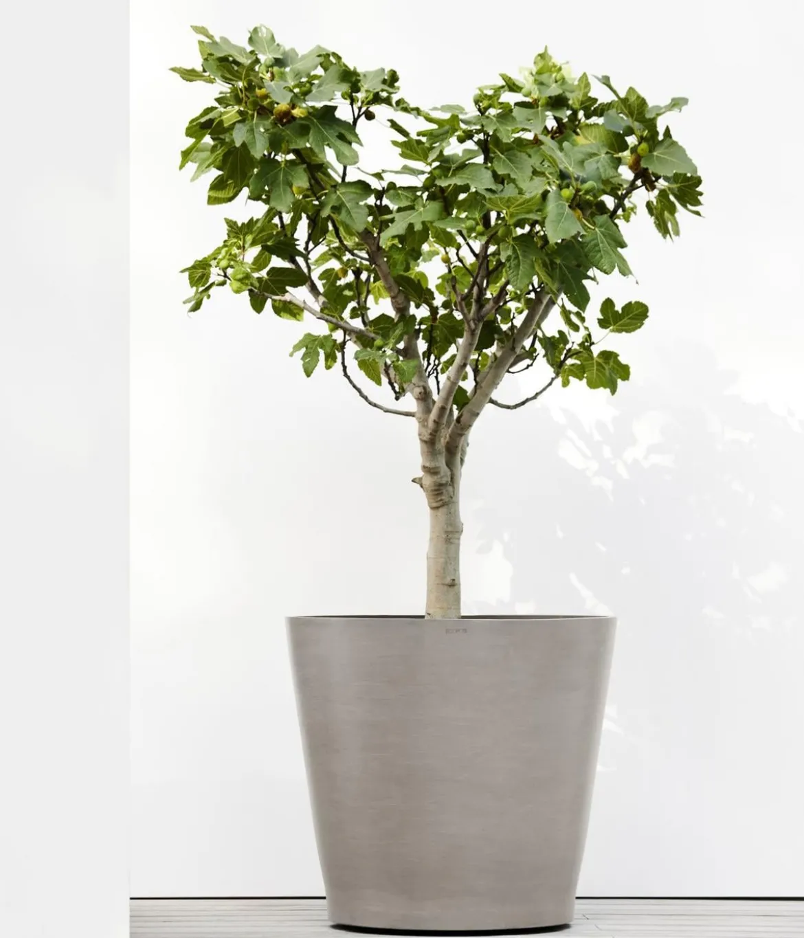 Ecopots Kunststoff-Topf Amsterdam mit Rollen, rund