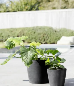 Ecopots Kunststoff-Topf Amsterdam mit Wassersystem, rund