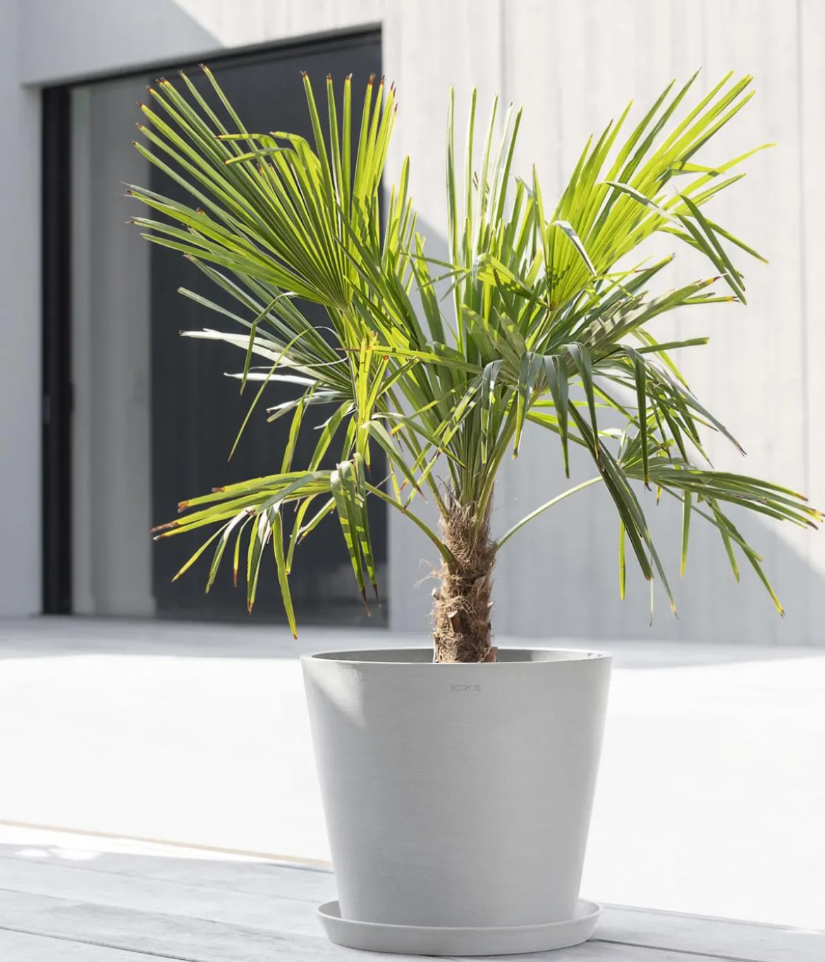 Ecopots Kunststoff-Topf Amsterdam mit Wassersystem, rund