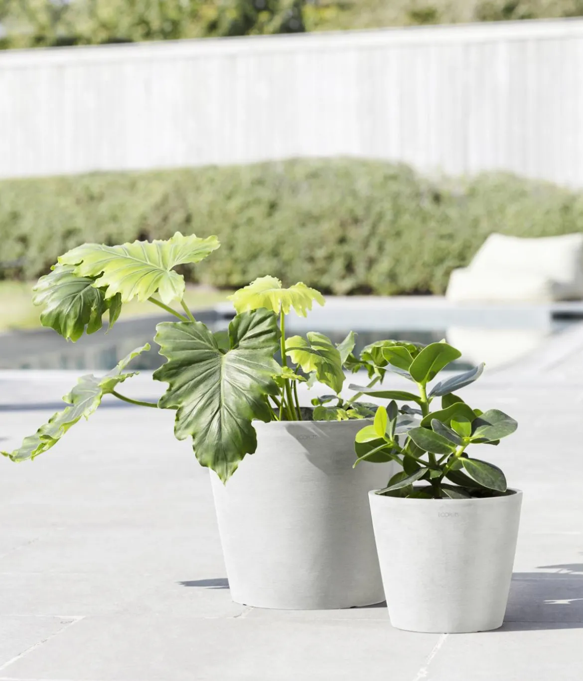 Ecopots Kunststoff-Topf Amsterdam mit Wassersystem, rund