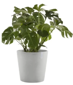 Ecopots Kunststoff-Topf Amsterdam mit Wassersystem, rund