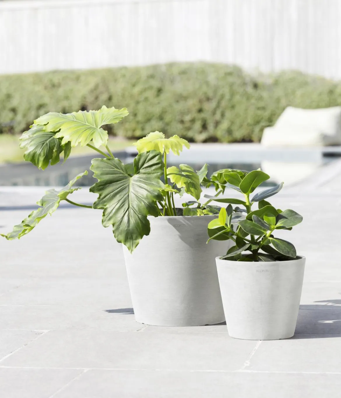 Ecopots Kunststoff-Topf Amsterdam mit Wassersystem, rund