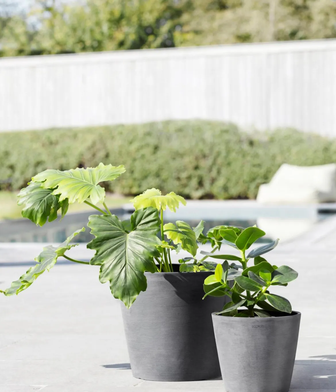 Ecopots Kunststoff-Topf Amsterdam mit Wassersystem, rund