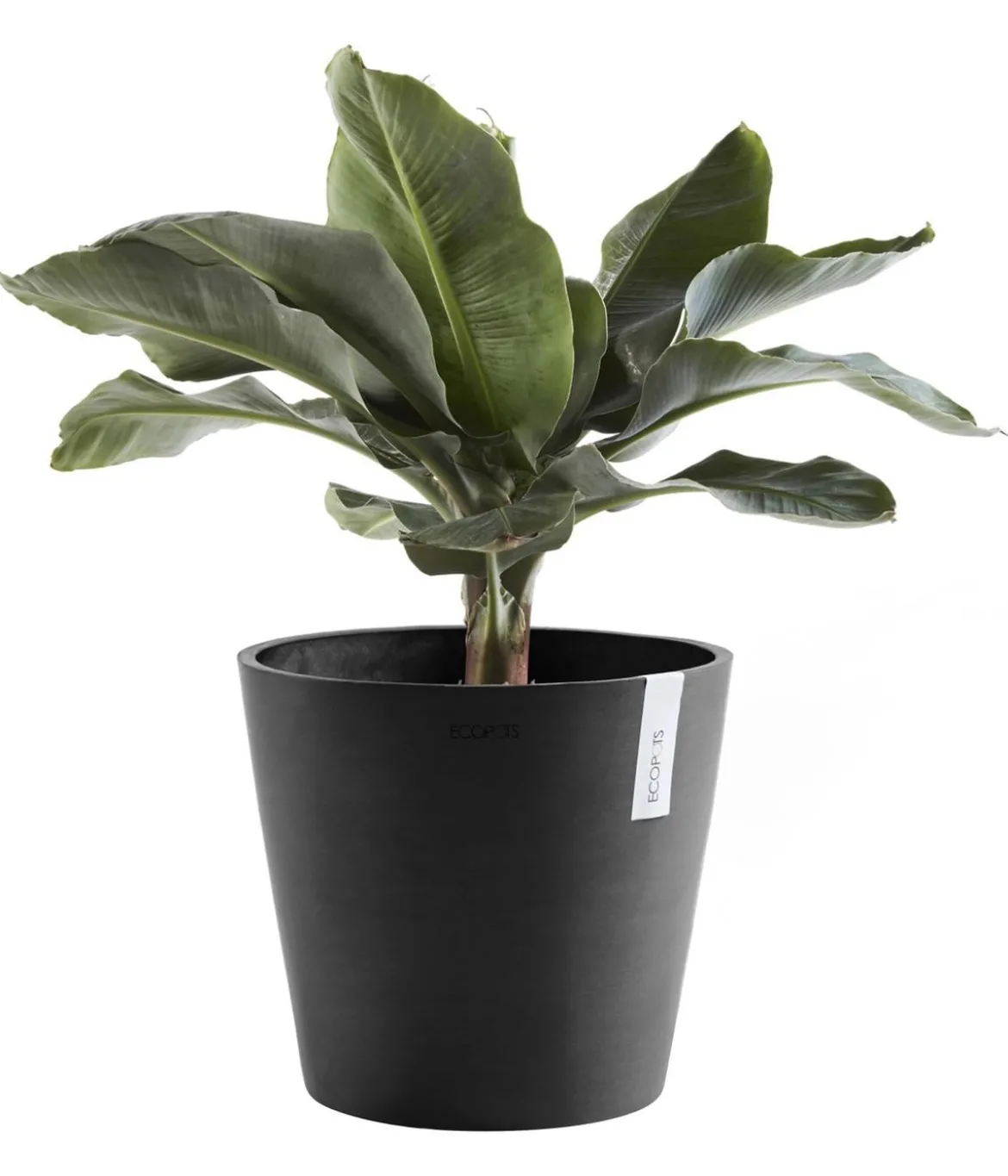 Ecopots Kunststoff-Topf Amsterdam, rund