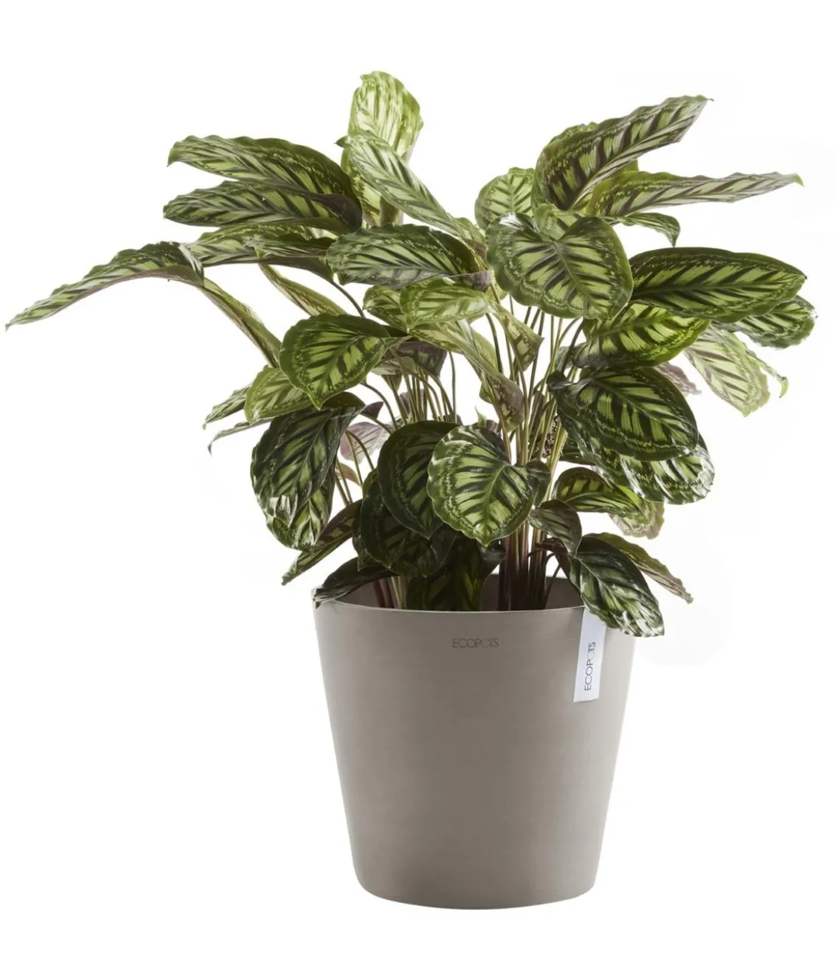 Ecopots Kunststoff-Topf Amsterdam, rund
