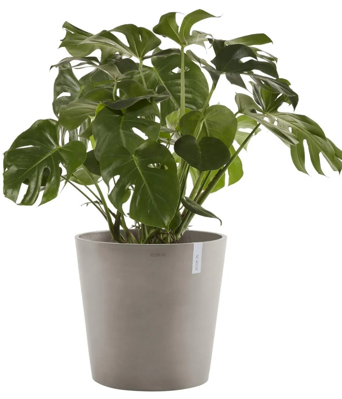 Ecopots Kunststoff-Topf Amsterdam, rund