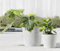 Ecopots Kunststoff-Topf Amsterdam, rund