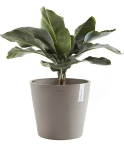 Ecopots Kunststoff-Topf Amsterdam, rund