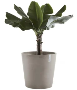 Ecopots Kunststoff-Topf Amsterdam, rund