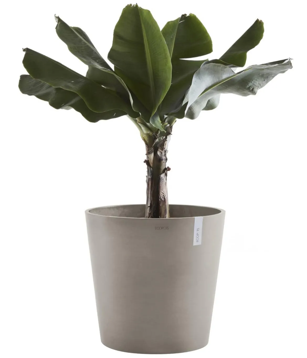 Ecopots Kunststoff-Topf Amsterdam, rund