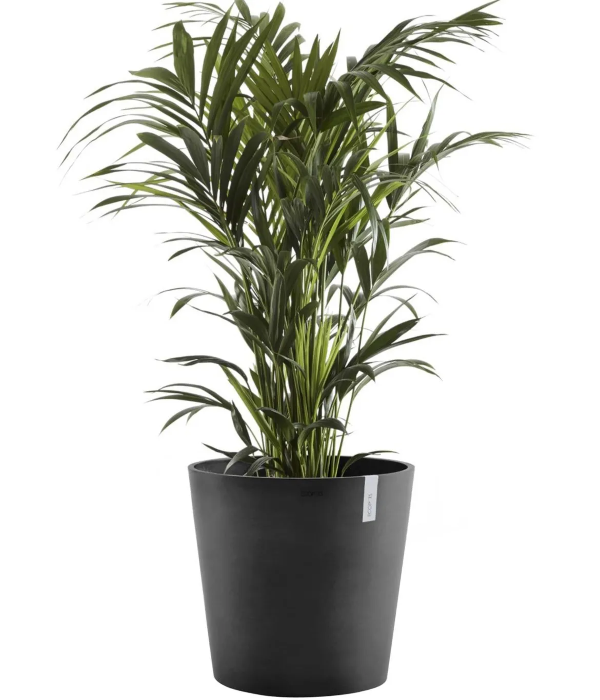 Ecopots Kunststoff-Topf Amsterdam, rund