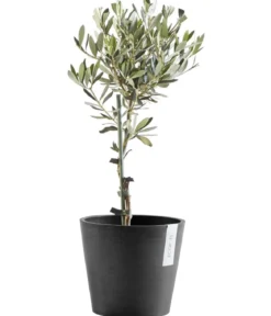 Ecopots Kunststoff-Topf Amsterdam, rund