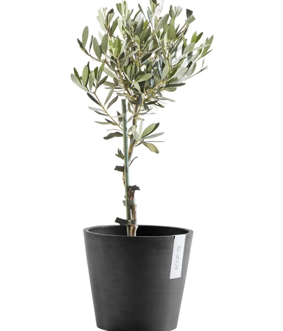 Ecopots Kunststoff-Topf Amsterdam, rund