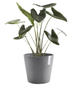 Ecopots Kunststoff-Topf Amsterdam, rund