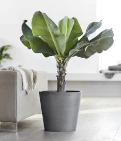 Ecopots Kunststoff-Topf Amsterdam, rund