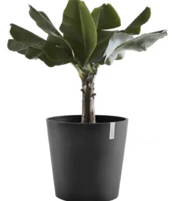 Ecopots Kunststoff-Topf Amsterdam, rund