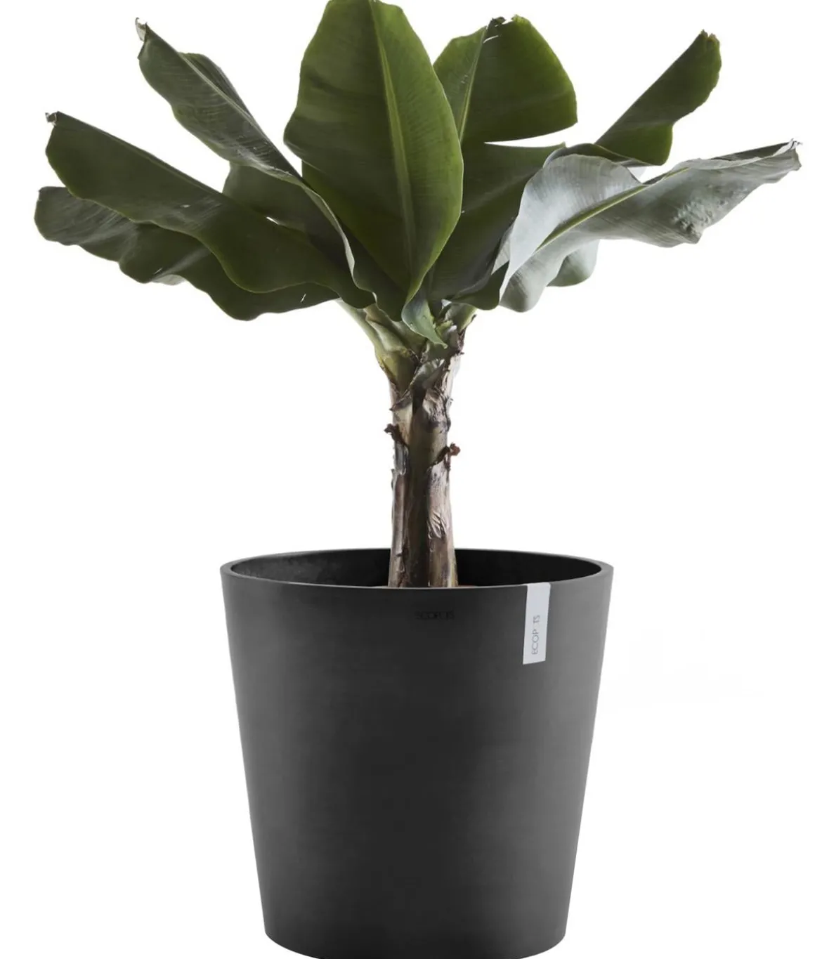 Ecopots Kunststoff-Topf Amsterdam, rund
