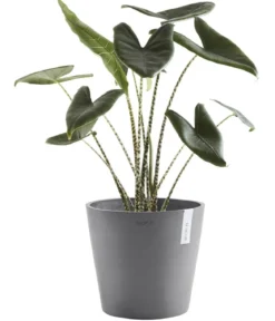 Ecopots Kunststoff-Topf Amsterdam, rund