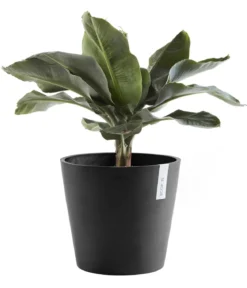 Ecopots Kunststoff-Topf Amsterdam, rund