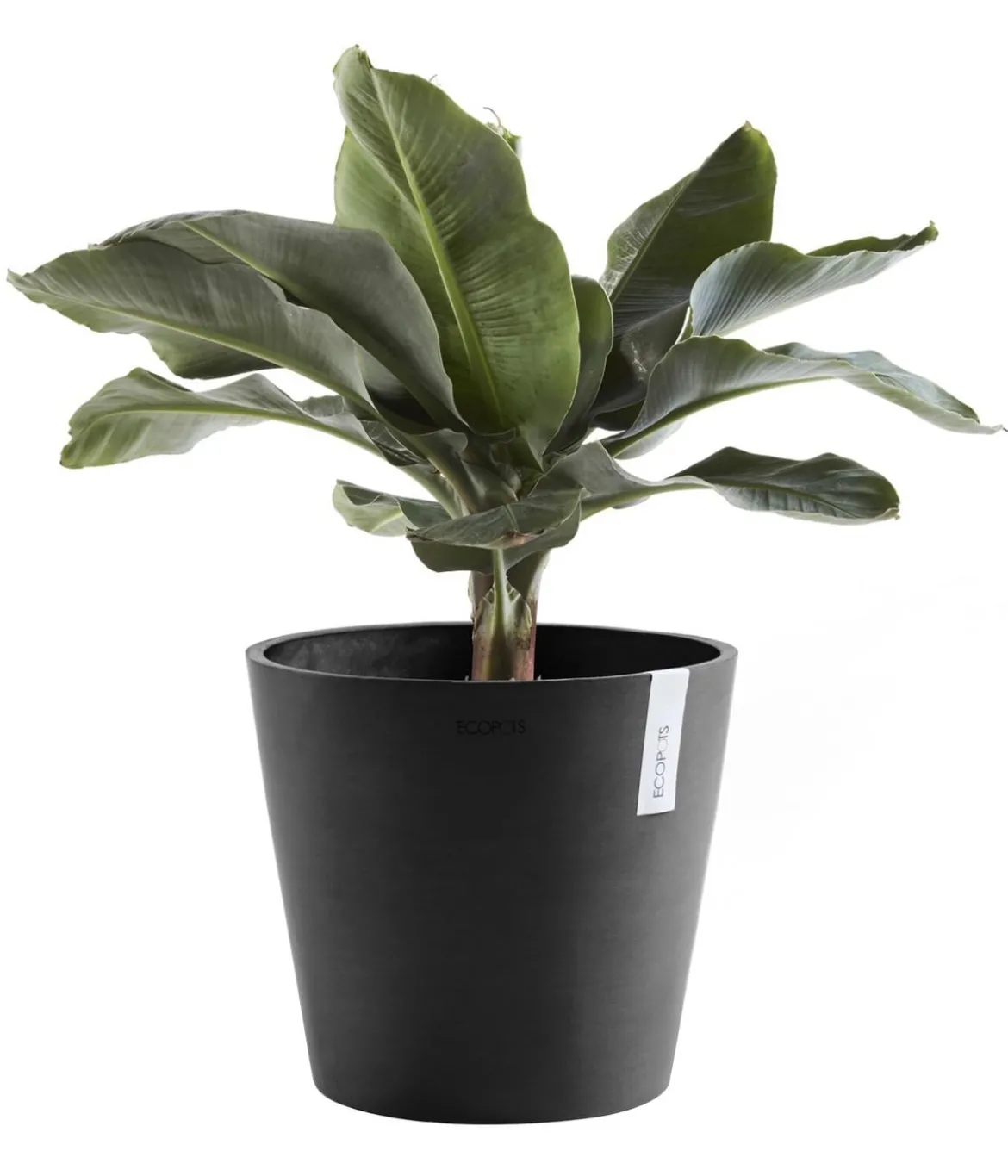 Ecopots Kunststoff-Topf Amsterdam, rund