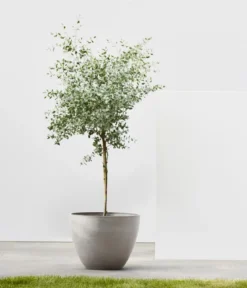Ecopots Kunststoff-Topf Antwerp, rund