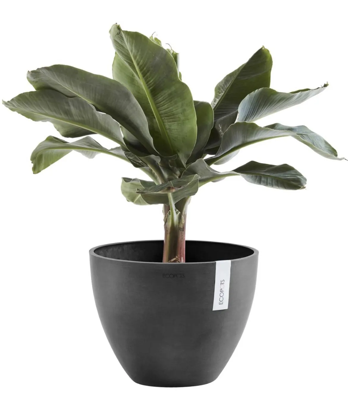 Ecopots Kunststoff-Topf Antwerp, rund