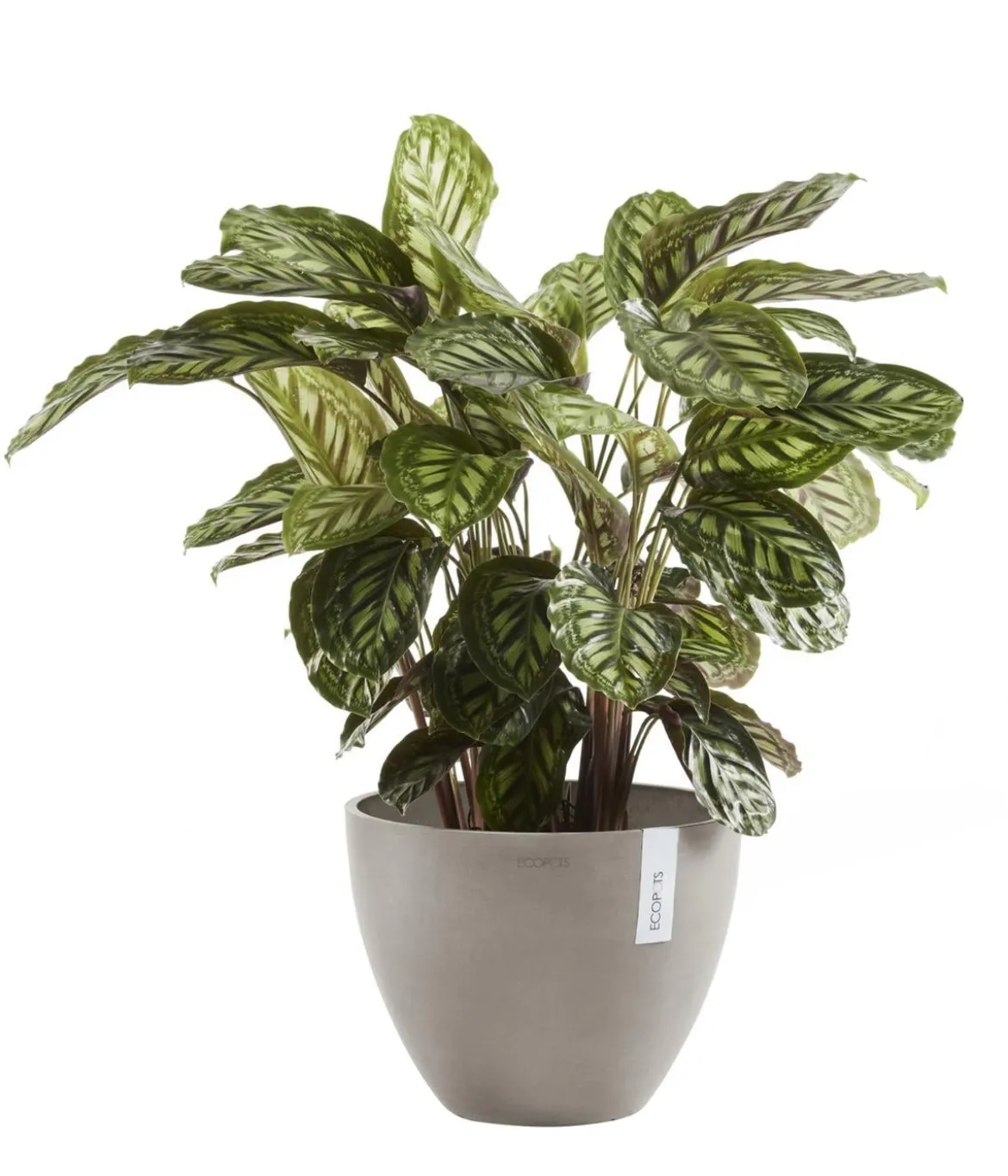Ecopots Kunststoff-Topf Antwerp, rund