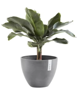 Ecopots Kunststoff-Topf Antwerp, rund