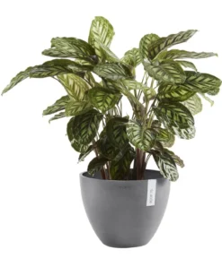 Ecopots Kunststoff-Topf Antwerp, rund