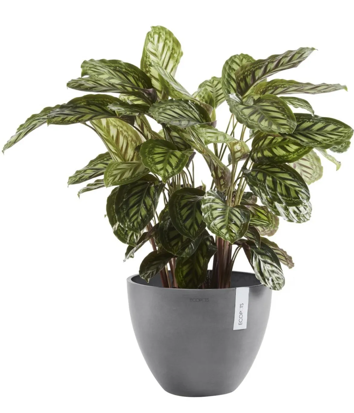 Ecopots Kunststoff-Topf Antwerp, rund