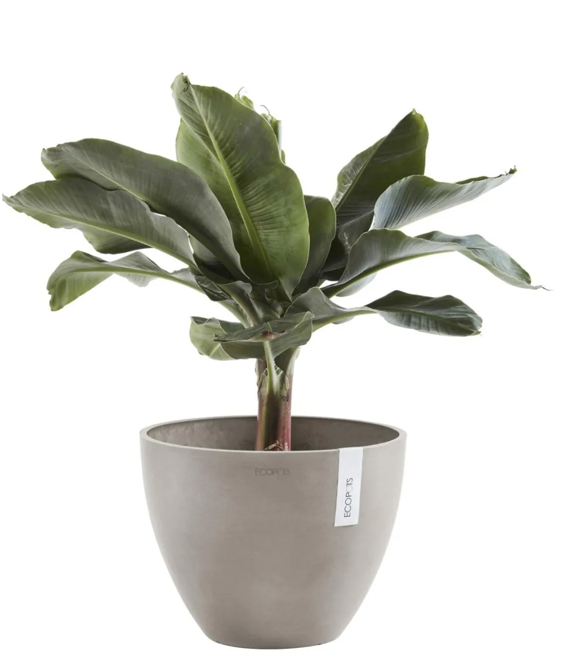 Ecopots Kunststoff-Topf Antwerp, rund
