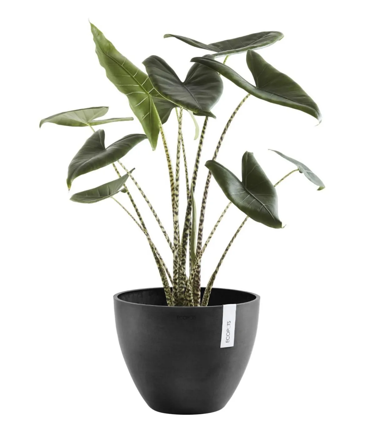 Ecopots Kunststoff-Topf Antwerp, rund