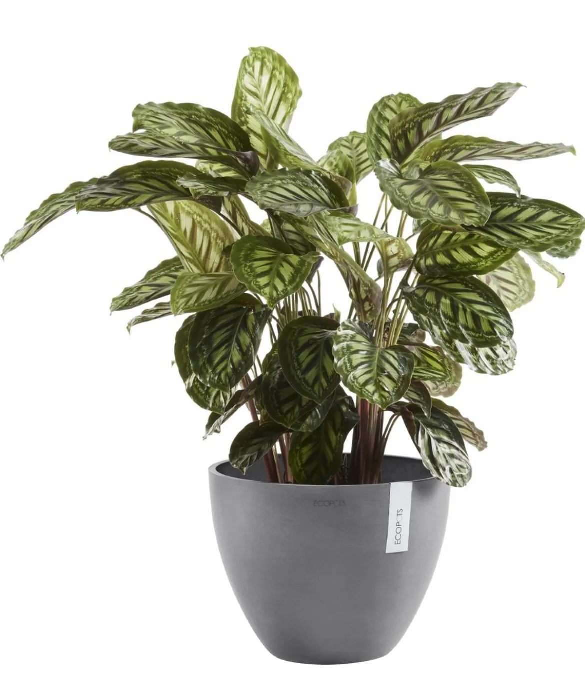 Ecopots Kunststoff-Topf Antwerp, rund
