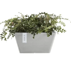 Ecopots Kunststoff-Topf Berlin, quadratisch