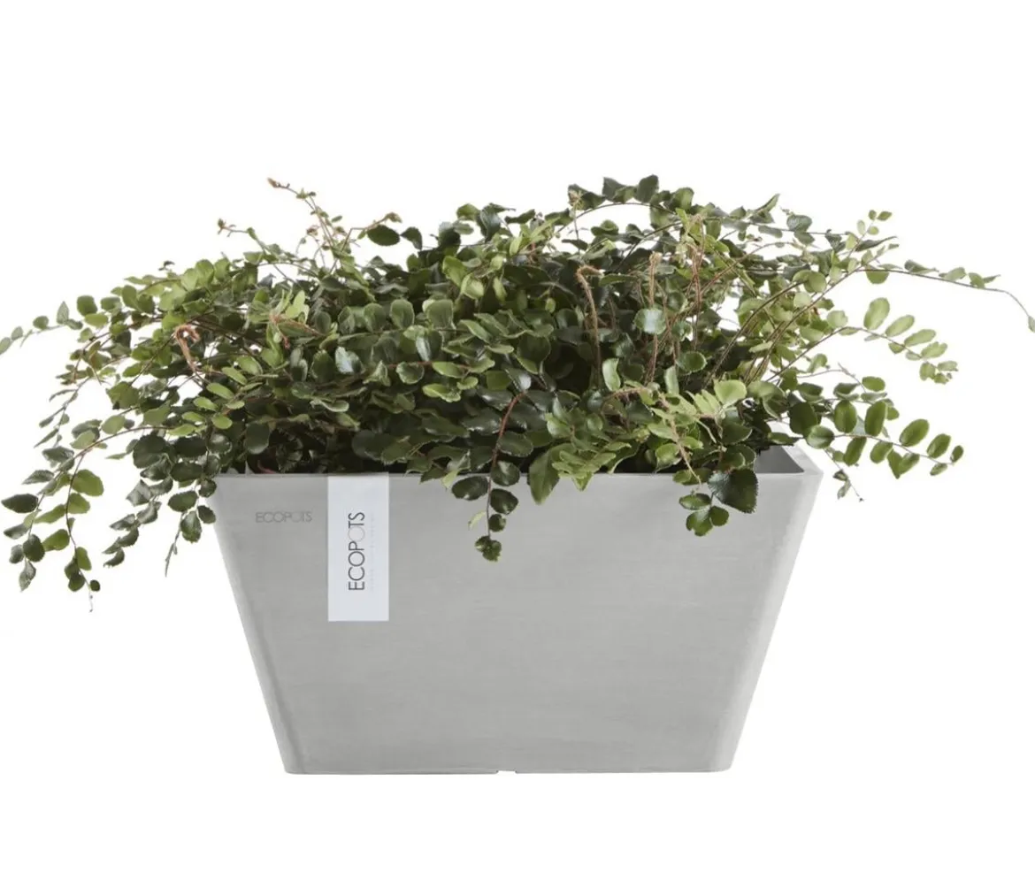 Ecopots Kunststoff-Topf Berlin, quadratisch