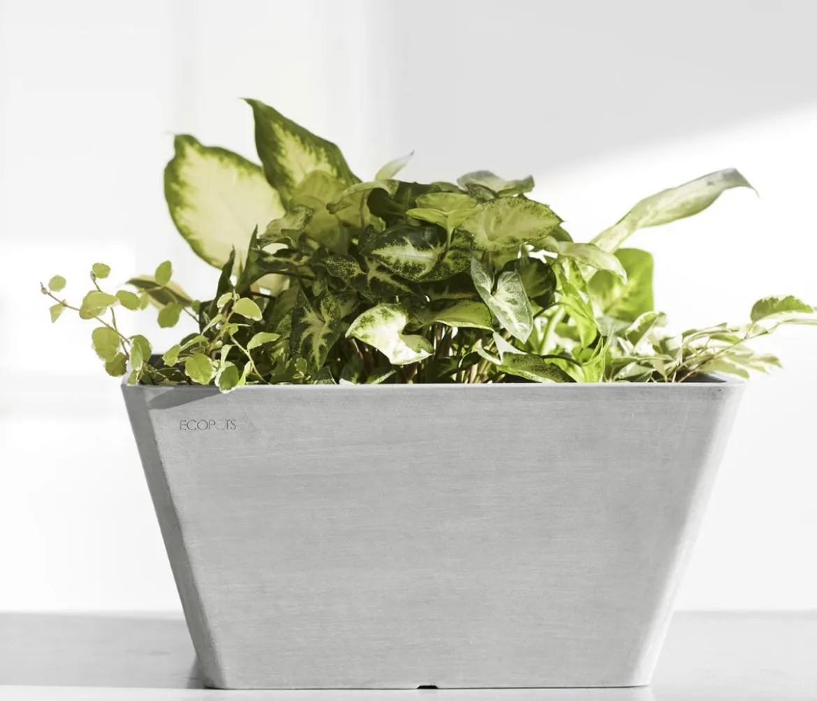 Ecopots Kunststoff-Topf Berlin, quadratisch