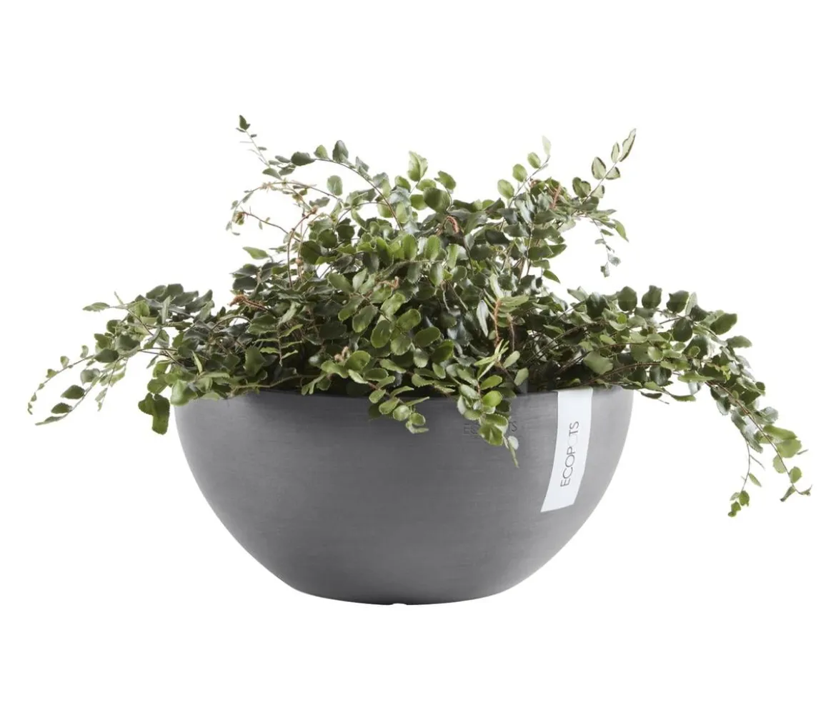 Ecopots Kunststoff-Topf Brussels, rund