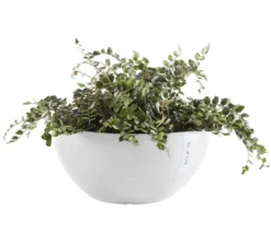 Ecopots Kunststoff-Topf Brussels, rund