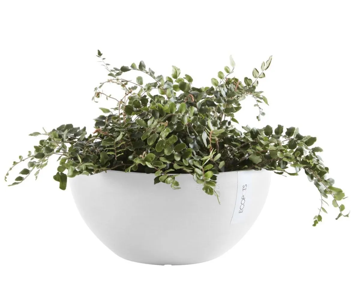 Ecopots Kunststoff-Topf Brussels, rund