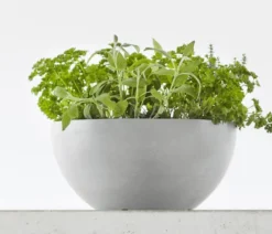 Ecopots Kunststoff-Topf Brussels, rund