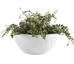 Ecopots Kunststoff-Topf Brussels, rund