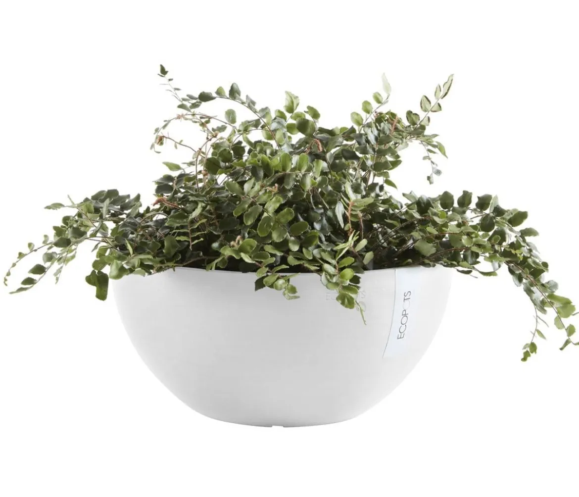 Ecopots Kunststoff-Topf Brussels, rund