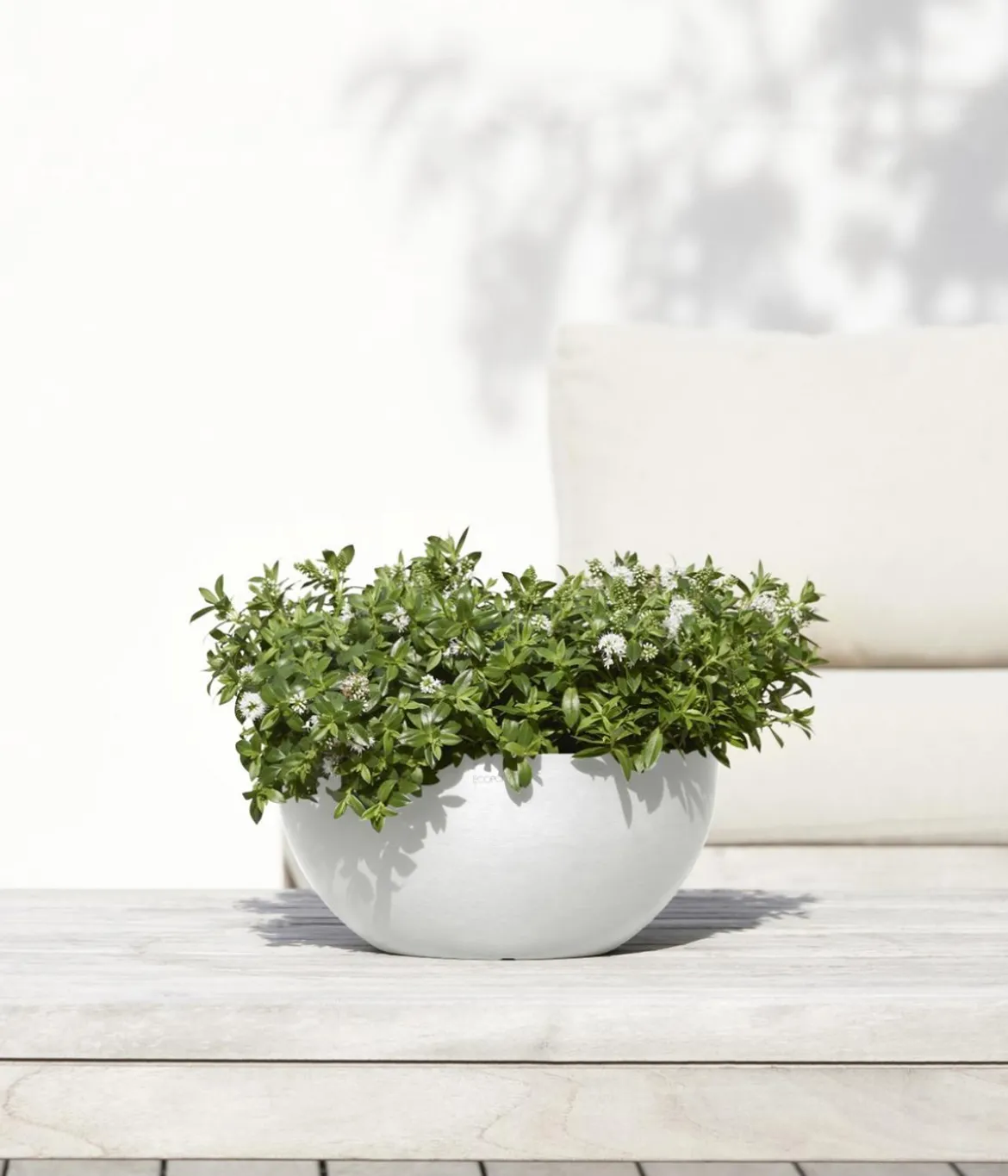 Ecopots Kunststoff-Topf Brussels, rund