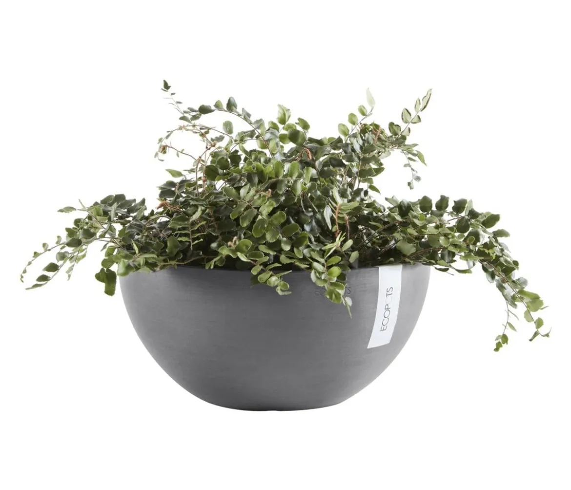 Ecopots Kunststoff-Topf Brussels, rund