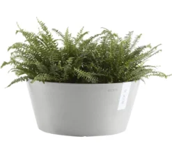 Ecopots Kunststoff-Topf Frankfurt, rund