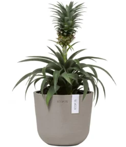 Ecopots Kunststoff-Topf Oslo Mini, rund